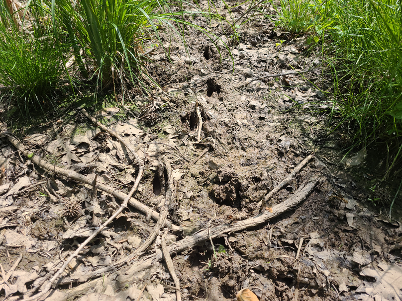 26.48ac_McKenneyLn_QAnnes_25