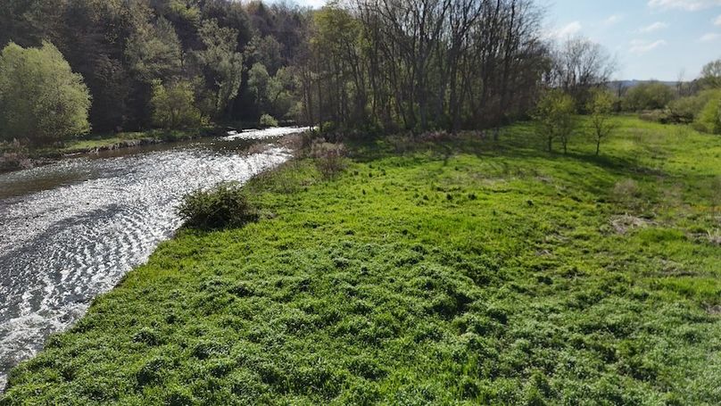 DJI_20260509051835_0051_D