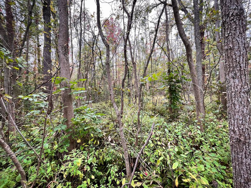 Ontario_16.2_Eddington Photo 27