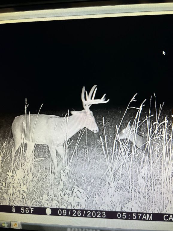 71763645067__142B20F6-0B52-4BBE-BA98-8FA12CF12A2D