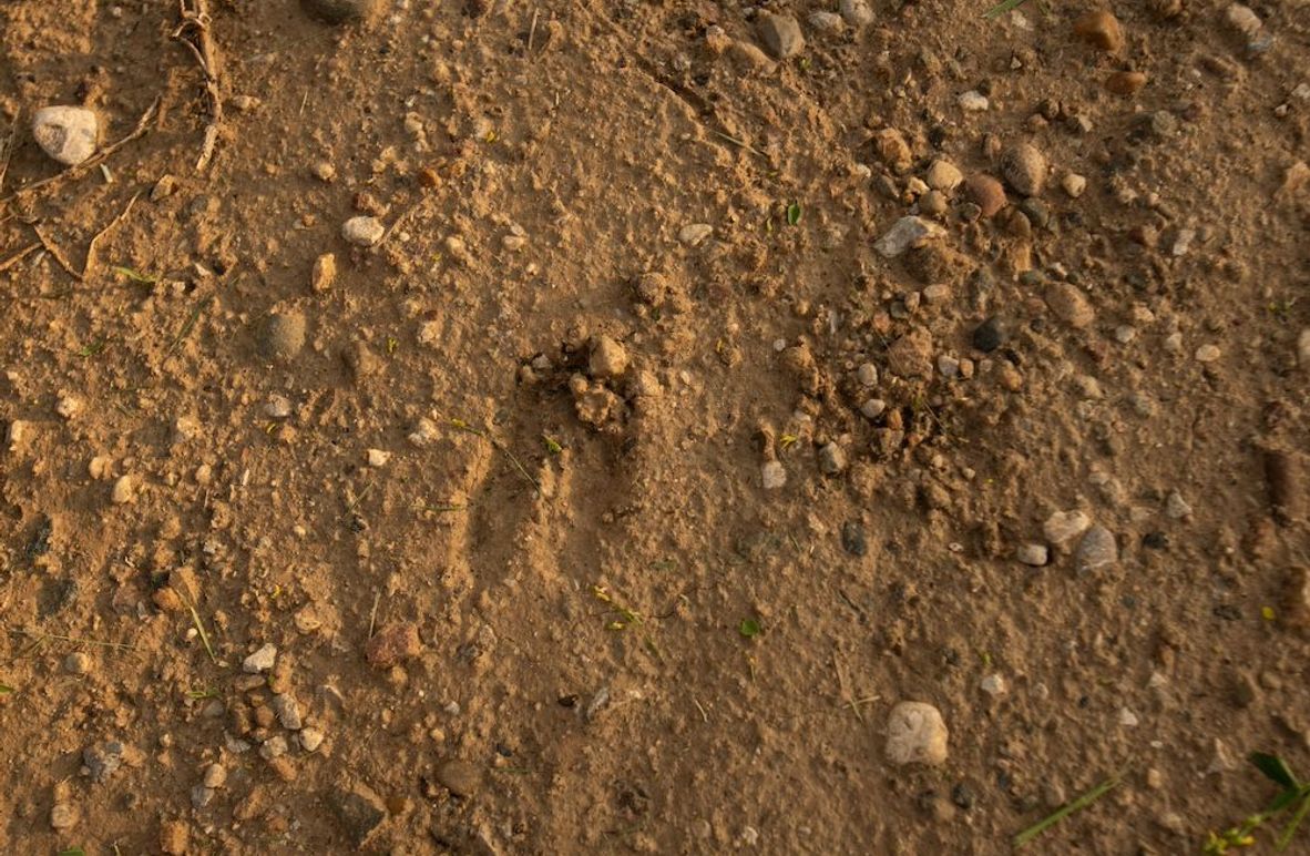 MONONA CO IA 119.43_5