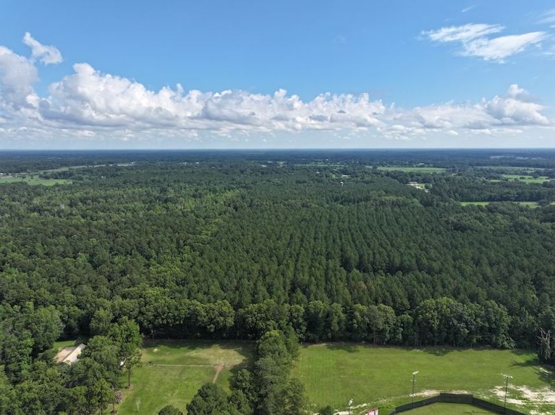 dji_fly_20250624_100410_0132_1750950817547_photo