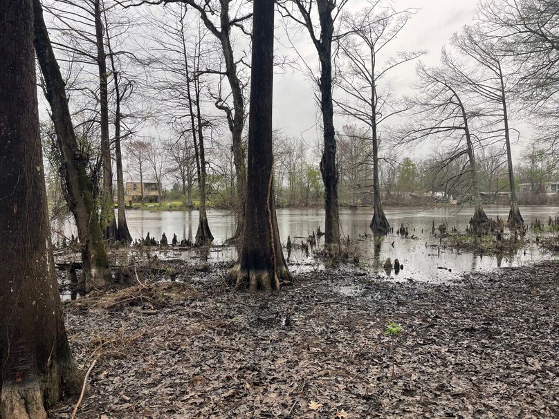 8F80C09F-4E9E-4C21-9798-4188723163A9