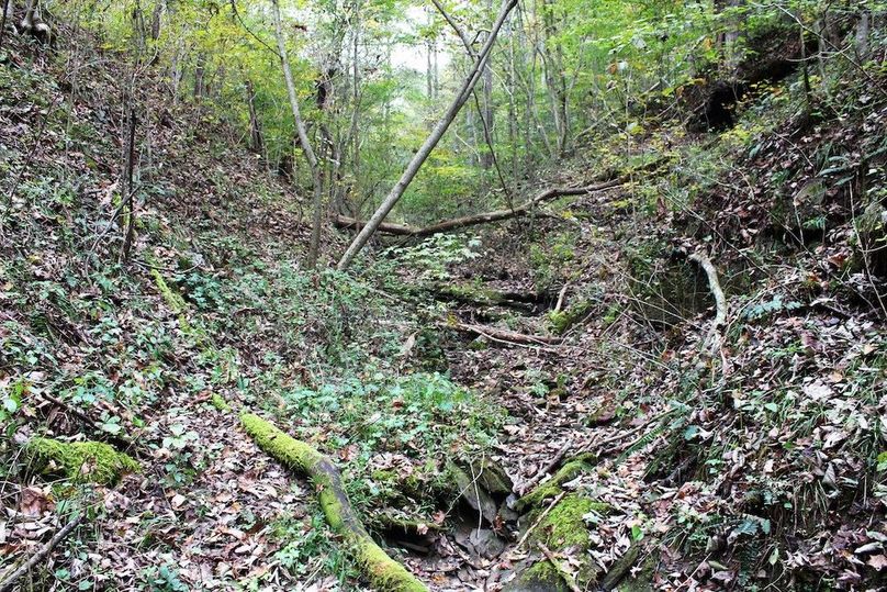 011 ephemeral stream feeding south to the main valley