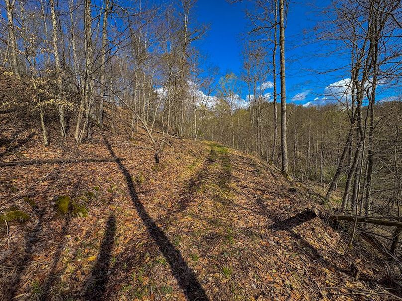 Wirt, WV 156.941 AC Full-24
