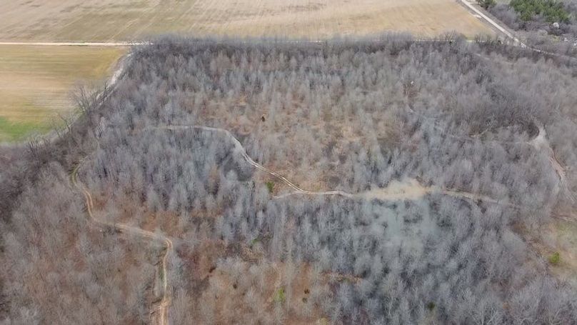 2024-02-29-15-45-16-444