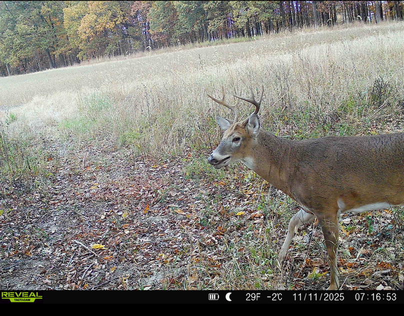 Screenshot 2026-04-09 at 12.52.32 PM