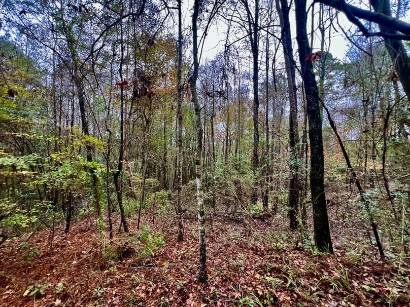 90C4B636-CC6C-4173-889B-033D7EA7E470_1_201_a