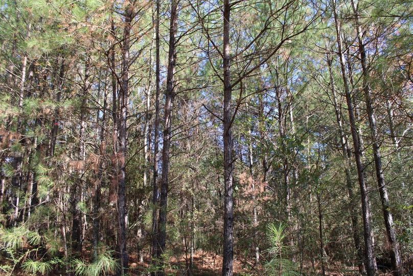 2895D7CF-EB83-4A4D-8E8C-E14422B5C3E4_1_105_c