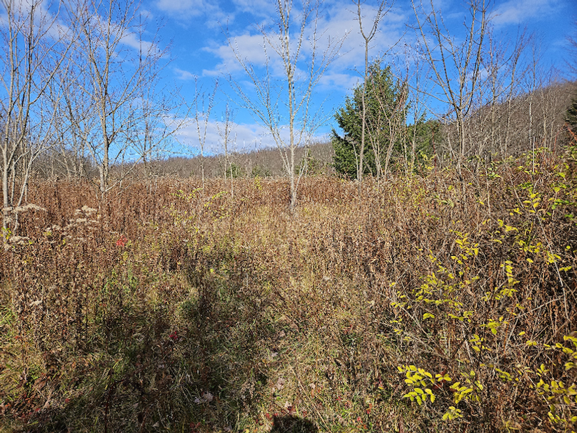 photo_8f293858-41e8-4c18-b95e-e8e53226f397