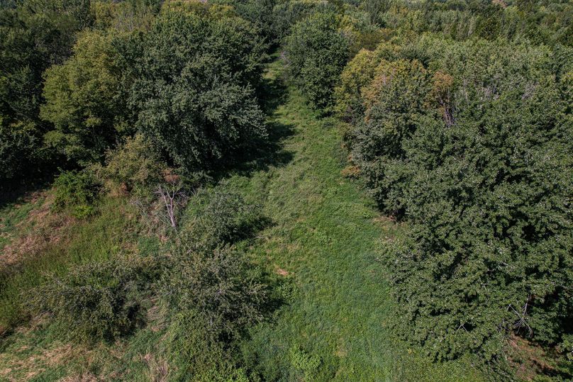 DJI_0210