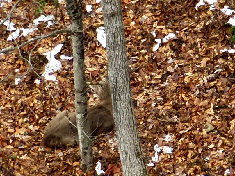 31-DJI_20251208170141_0011_Z