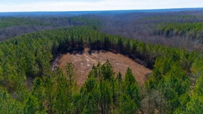 MCKINNON TRACT 29-11