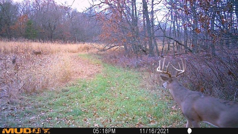 Sauk 174 Trailcam - 47
