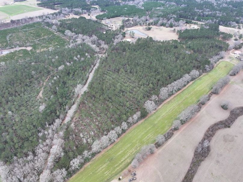 dji_fly_20260217_132102_0100_1771436915373_photo