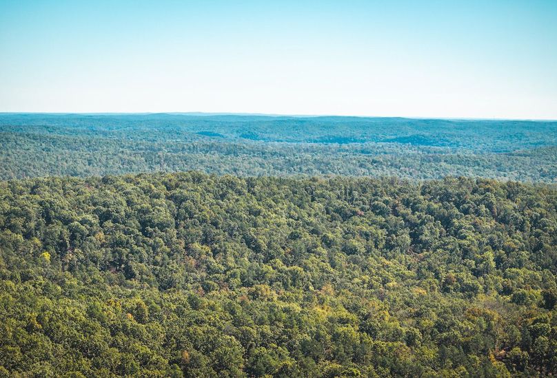 DJI_20251009045813_0597_D