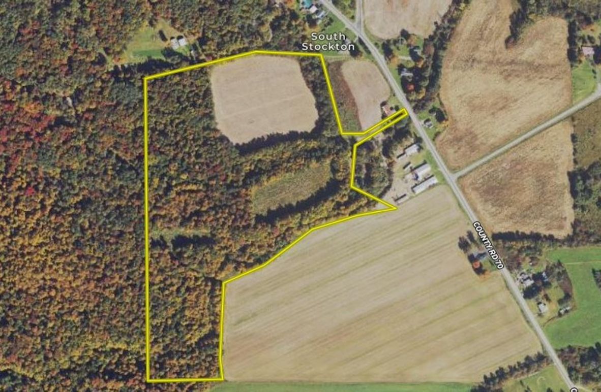 Print Hidden Gem, Deer Hunting And Secluded Property In Stockton, NY