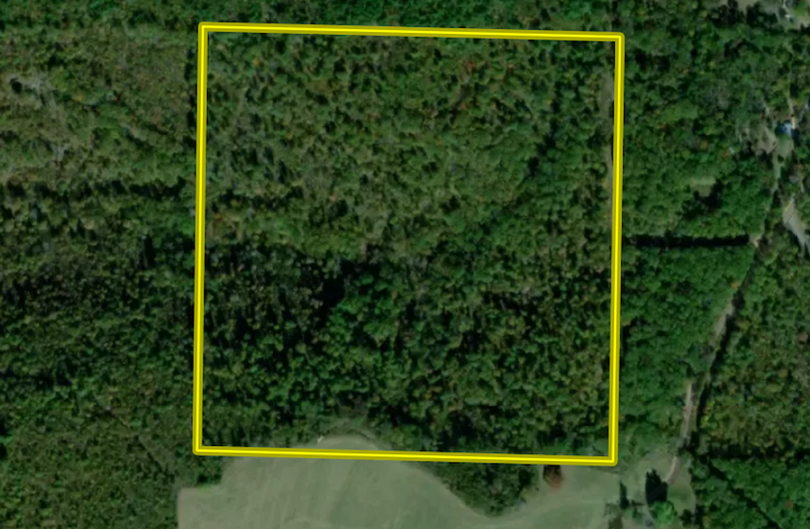 Screenshot 2026-02-22 at 3.49.25 PM