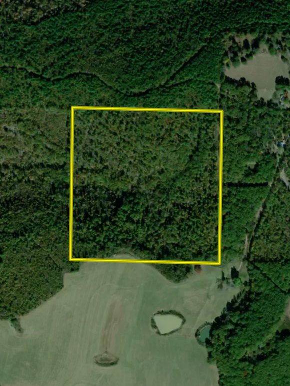 Screenshot 2026-02-22 at 3.49.25 PM