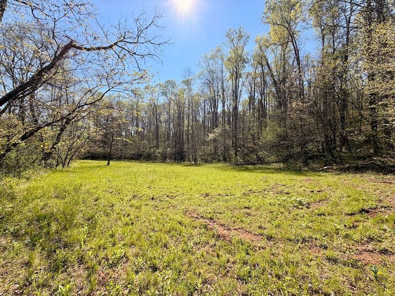 Monroe Co TN 44.66 Bolton_084