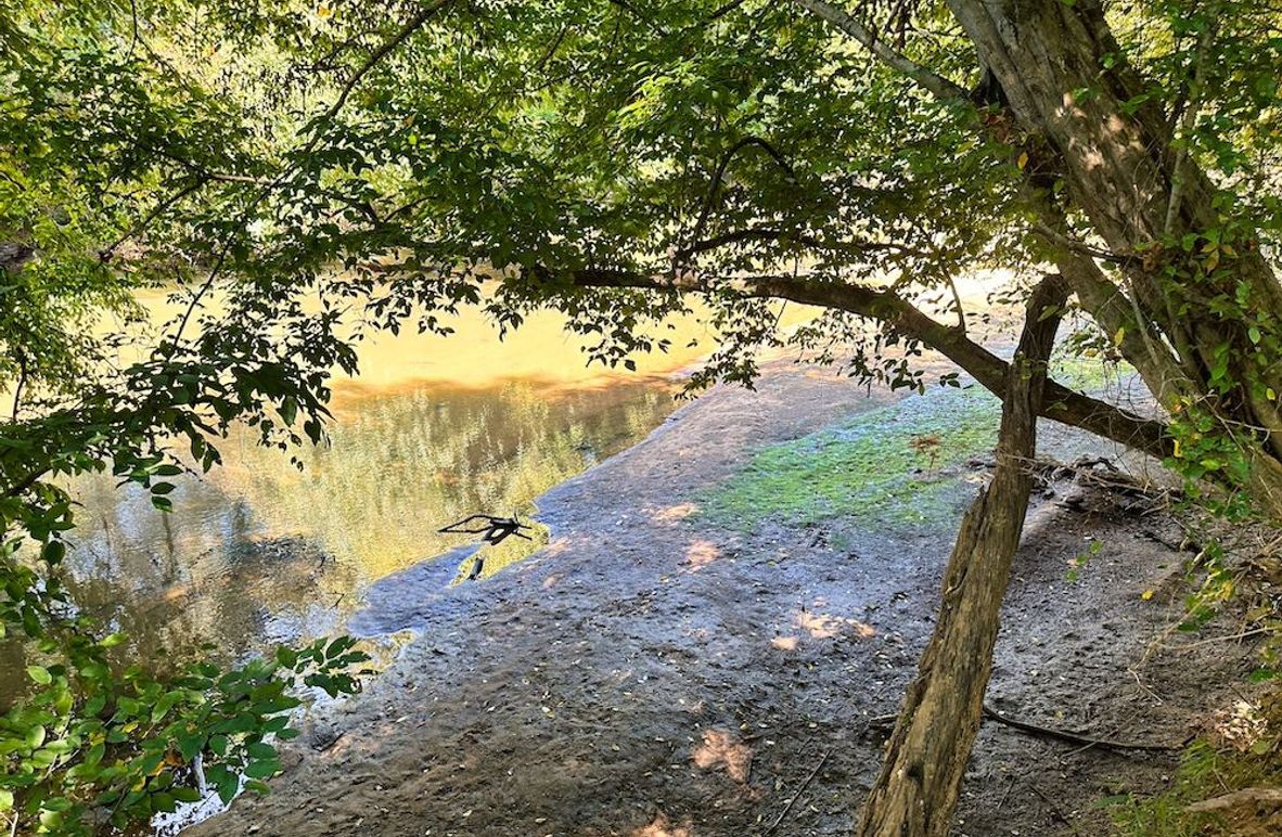 01_River_Profile Picture