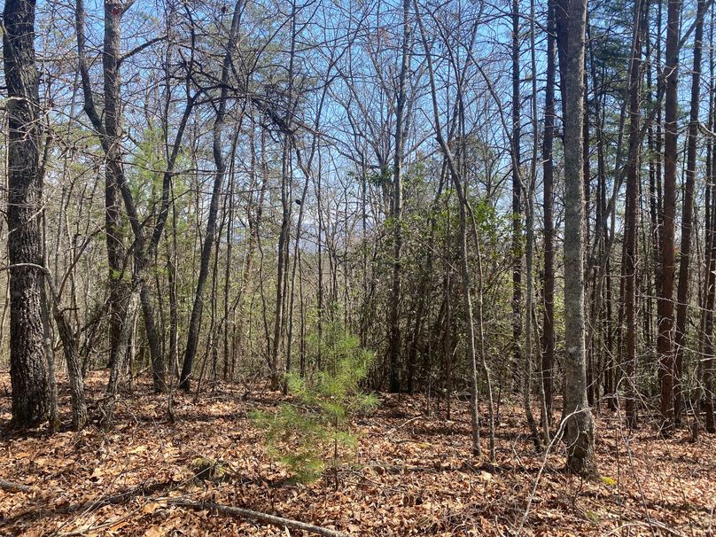 Cherokee 69.74 Stiles-23