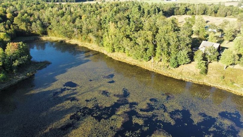 dji_fly_20240925_171314_911_1727302403820_photo_optimized