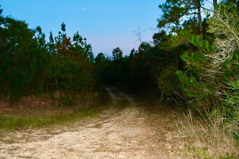 B77632EA-A3AF-4D24-96B3-02FDD6010FF0_1_105_c