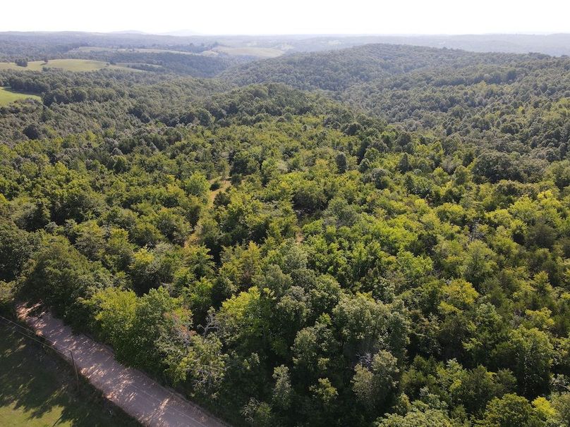 dji_fly_20240808_095310_301_1723128807950_photo