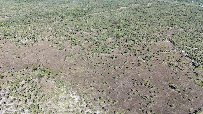 DJI_20251119125000_0992_D