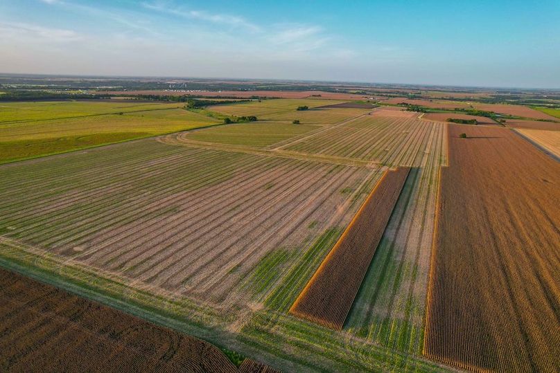 Bell 46.44 Pictures-21