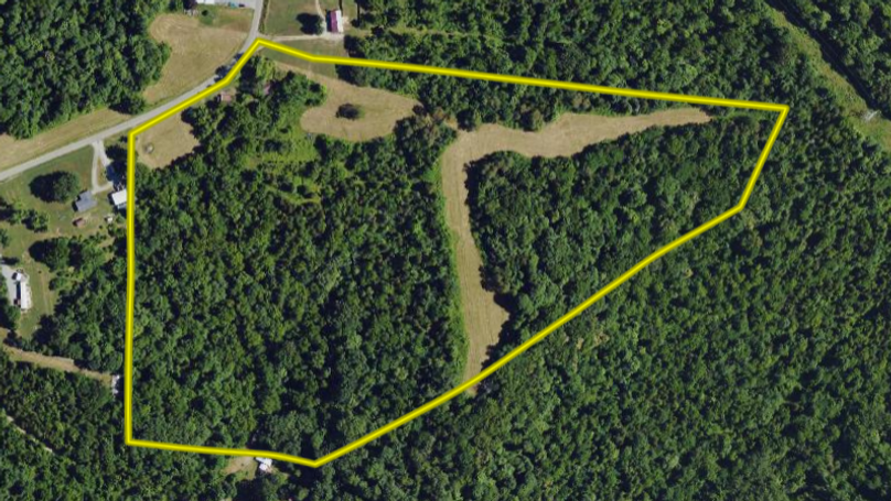 Screenshot 2024-07-26 115532