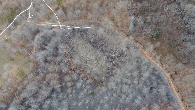 2024-02-29-15-46-25-301