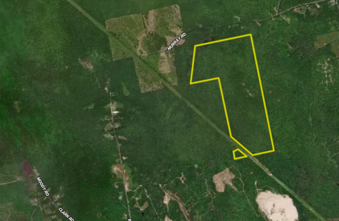 Screenshot 2026-01-30 at 10.23.38 AM