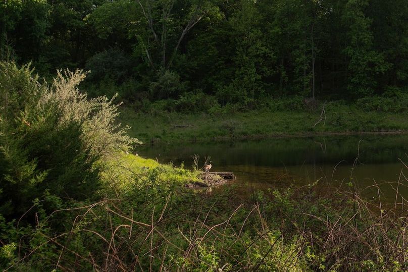 PAGE CO IA 130+_-_23