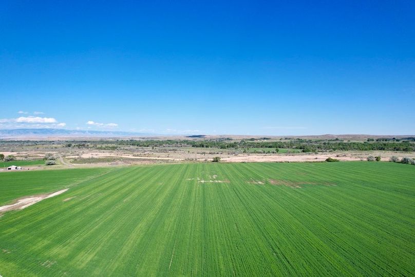 EFA4BFE4-53C9-4B61-A1C7-83C316005CFD_1_201_a