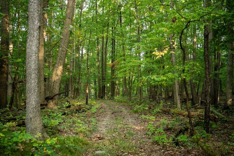 Lapeer MI 170 Featured_Pro Photo-108