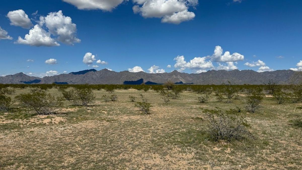 Future Investment Opportunity Raw Desert Land Whitetail Properties