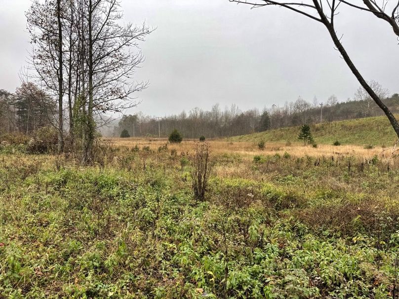 027 more nice creek bottom fields-2