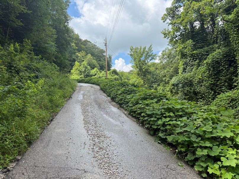003 county blacktop road leading up the hill to the south entrance into the property