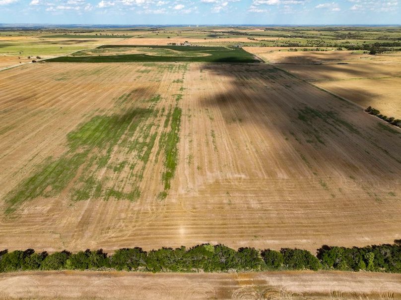 Mitchell Ks, 166.78_010