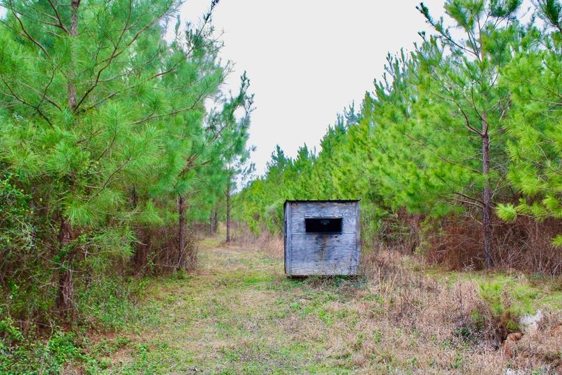 856DBA5C-1713-4E2D-93B5-5B125533DDE5_1_105_c