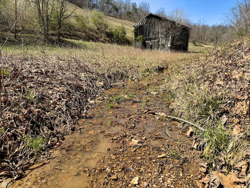 002 pouring spring fed stream running through the valley