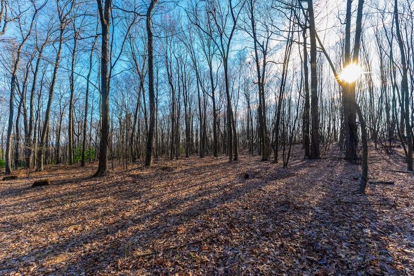 Perry 30 _ Sunday047