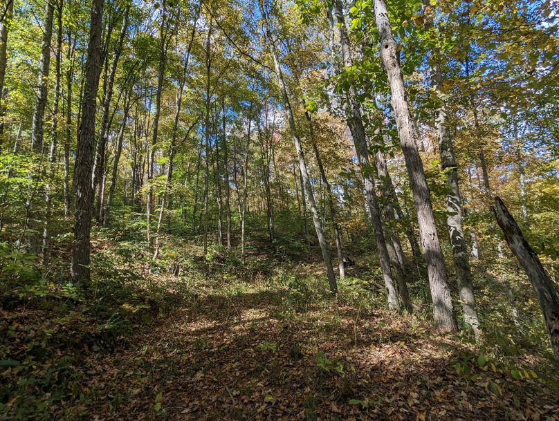 PXL_20231004_173748846.MP