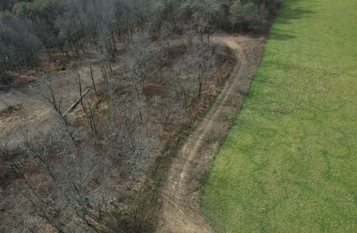 dji_fly_20251124_130558_14_1764007939898_photo