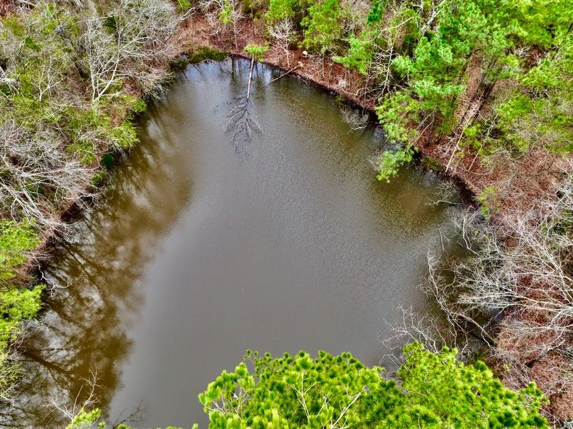 A47CBFAF-C805-4277-8058-656924BC8350_1_105_c