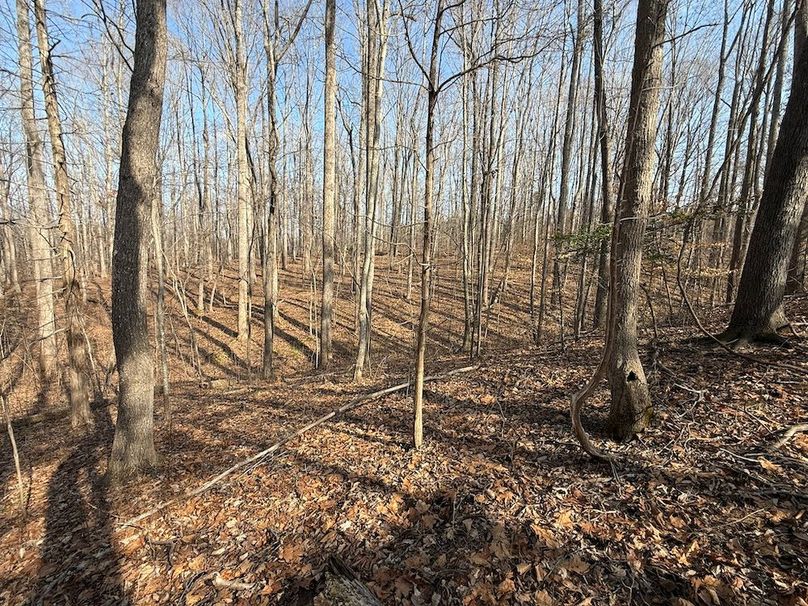 8D67F883-A4D6-491A-AA29-E0EFA6D7D11C_1_102_o