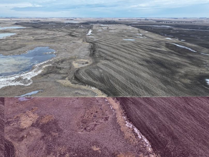 DJI_20260216150257_0089_D