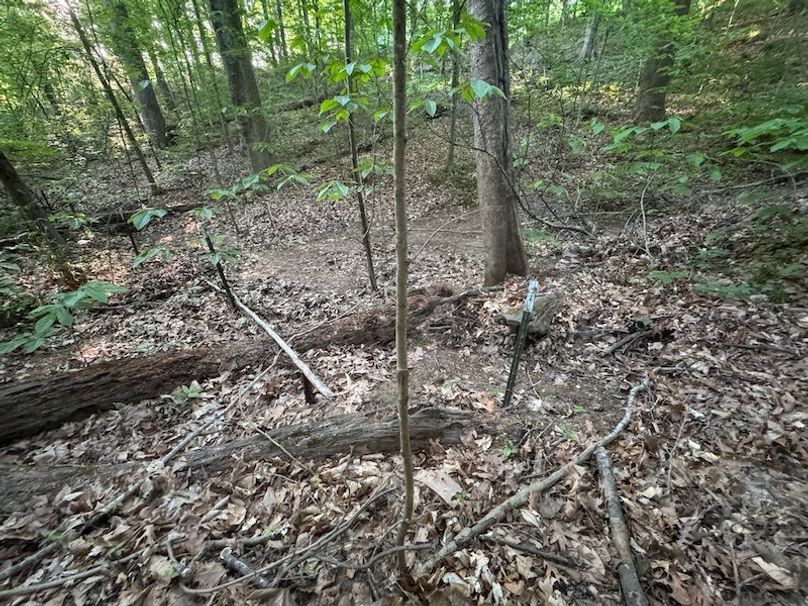 Desoto 8.3 Clement (Final Frontier) -19